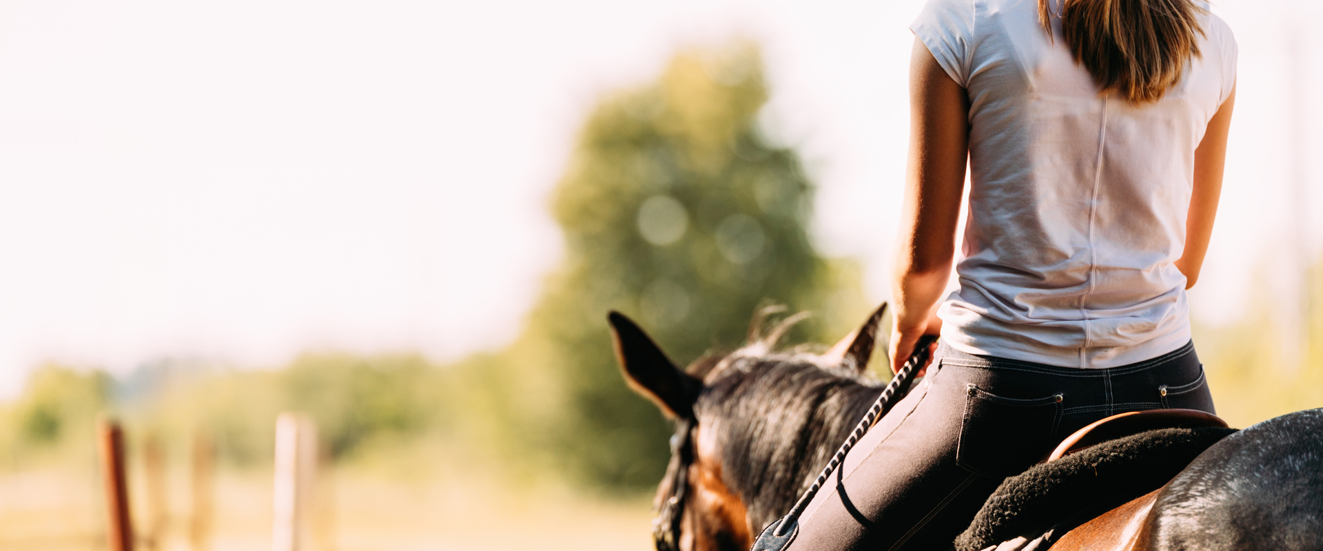 Green River Equestrian Preserve